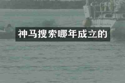 神马搜索哪年成立的