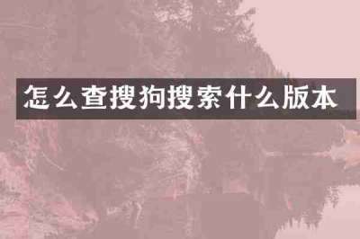 怎么查搜狗搜索什么版本