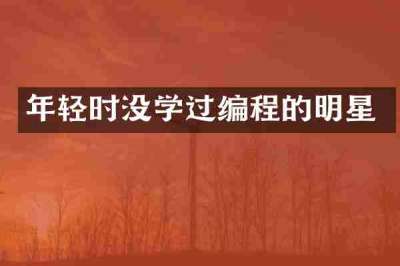 年轻时没学过编程的明星