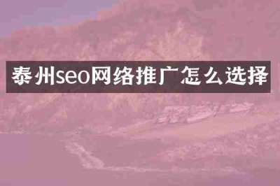泰州seo网络推广怎么选择