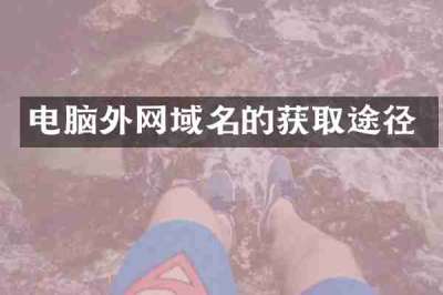 电脑外网域名的获取途径