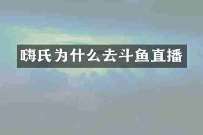 嗨氏为什么去斗鱼直播