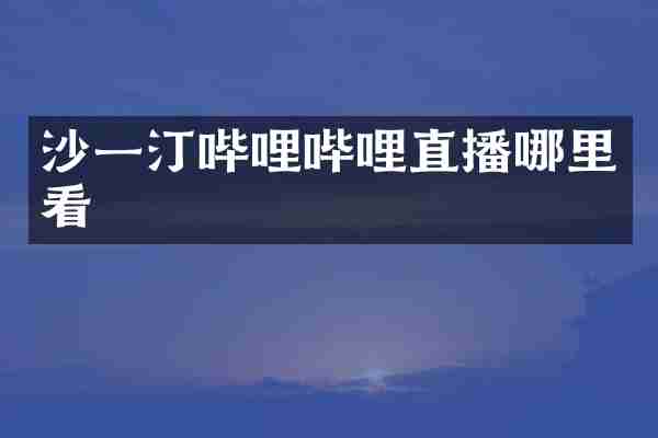 沙一汀哔哩哔哩直播哪里看