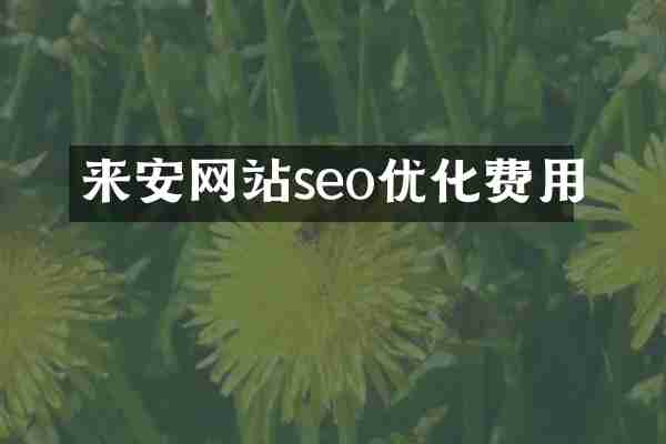 来安网站seo优化费用