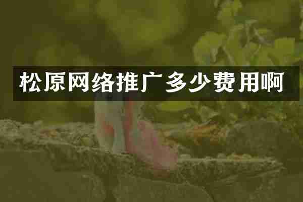 松原网络推广多少费用啊
