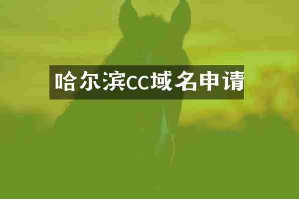 哈尔滨cc域名申请