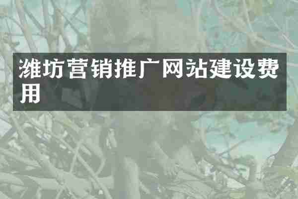 潍坊营销推广网站建设费用