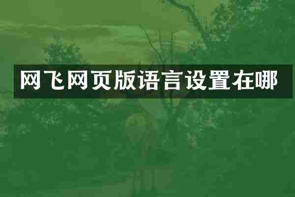 网飞网页版语言设置在哪