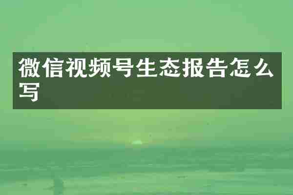 微信视频号生态报告怎么写