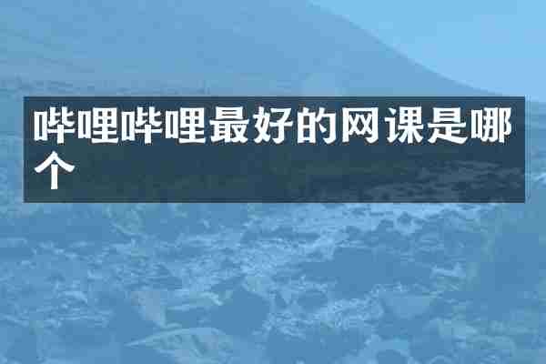 哔哩哔哩最好的网课是哪个