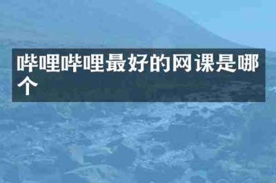 哔哩哔哩最好的网课是哪个