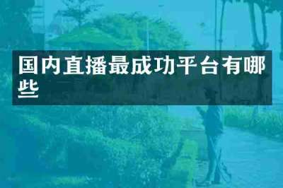 国内直播最成功平台有哪些