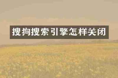 搜狗搜索引擎怎样关闭