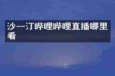 沙一汀哔哩哔哩直播哪里看
