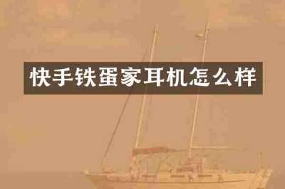 快手铁蛋家耳机怎么样