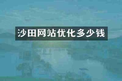 沙田网站优化多少钱