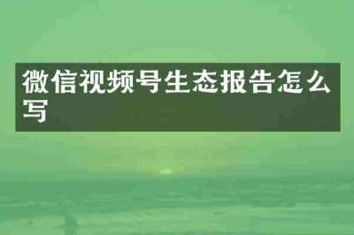 微信视频号生态报告怎么写