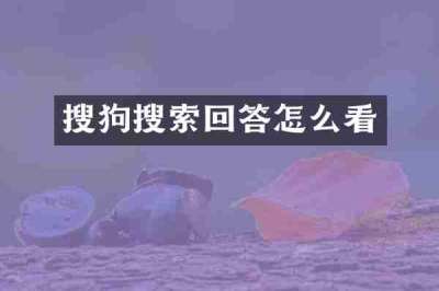 搜狗搜索回答怎么看