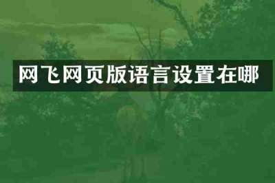 网飞网页版语言设置在哪