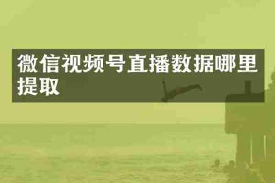 微信视频号直播数据哪里提取