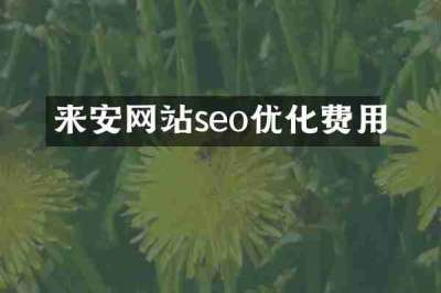 来安网站seo优化费用