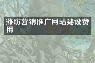 潍坊营销推广网站建设费用
