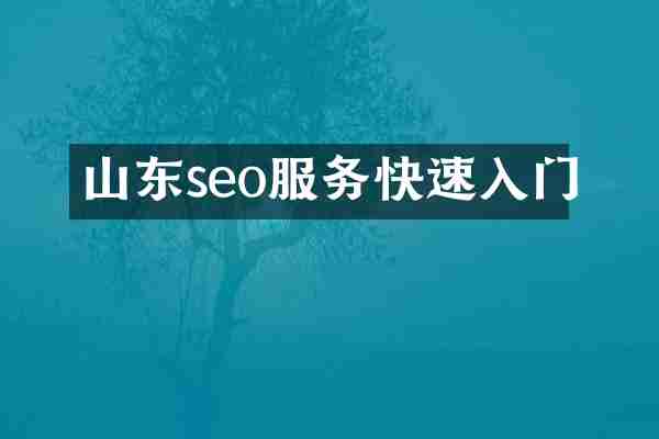 山东seo服务快速入门