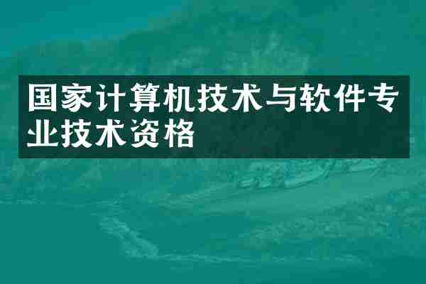 国家计算机技术与软件专业技术资格