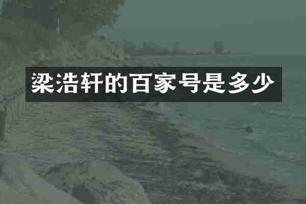 梁浩轩的百家号是多少