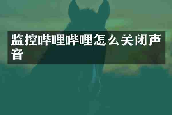 监控哔哩哔哩怎么关闭声音