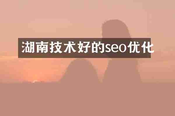 湖南技术好的seo优化