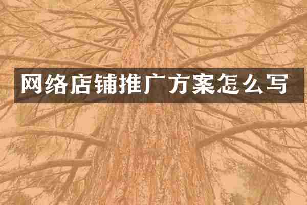 网络店铺推广方案怎么写