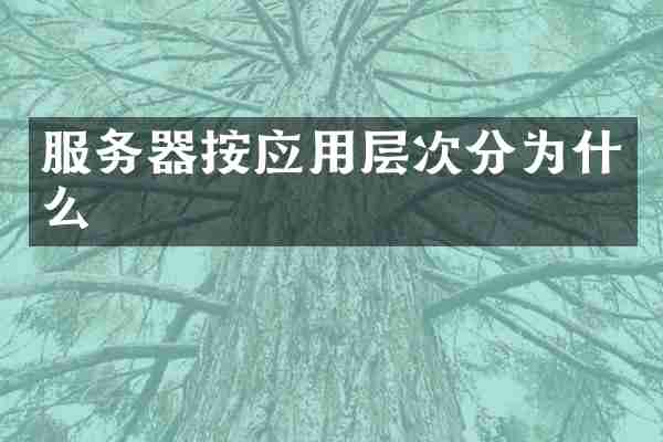 服务器按应用层次分为什么