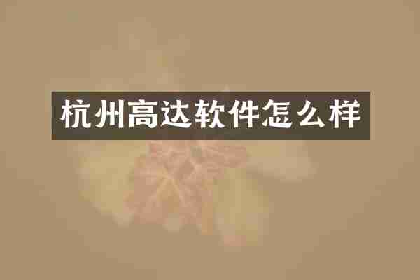 杭州高达软件怎么样