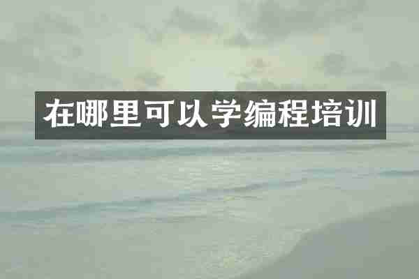 在哪里可以学编程培训
