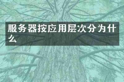 服务器按应用层次分为什么