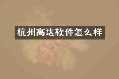 杭州高达软件怎么样