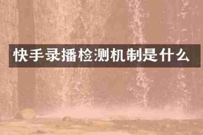 快手录播检测机制是什么