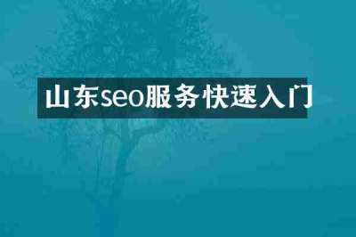山东seo服务快速入门
