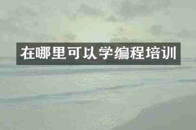 在哪里可以学编程培训