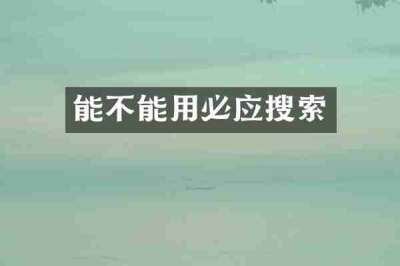 能不能用必应搜索