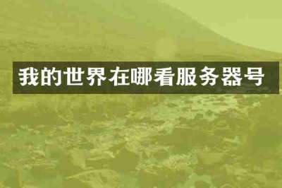我的世界在哪看服务器号