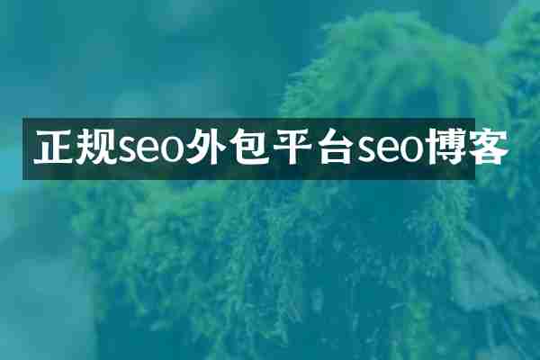 正规seo外包平台seo博客