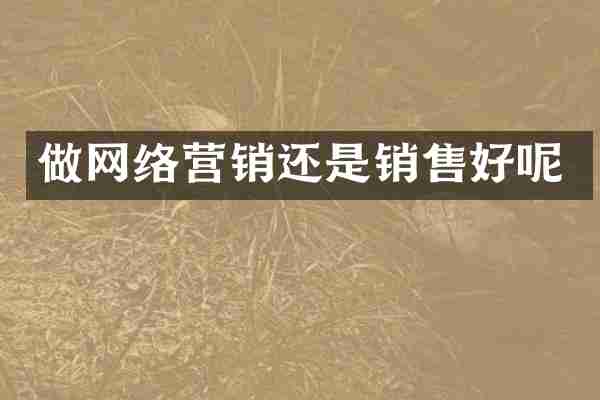 做网络营销还是销售好呢