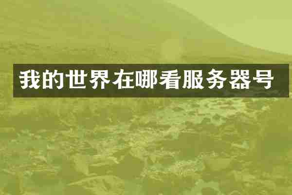 我的世界在哪看服务器号