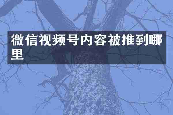 微信视频号内容被推到哪里