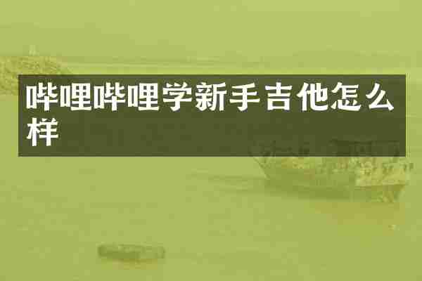 哔哩哔哩学新手吉他怎么样