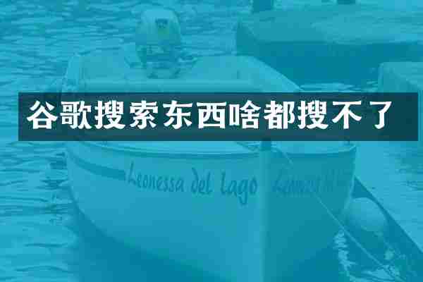谷歌搜索东西啥都搜不了