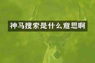 神马搜索是什么意思啊