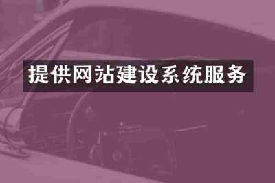 提供网站建设系统服务